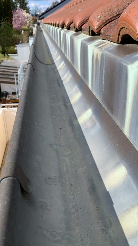 Rinnenreinigung Mainz Blick auf eine Metallrinne mit Laub und umliegenden Gebäuden im Hintergrund.